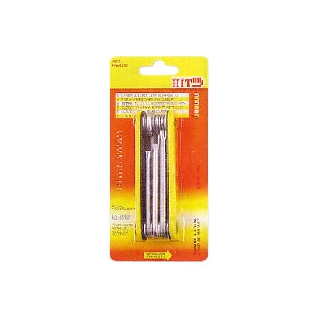 SERIE CHIAVI MASCHIO TORX HW4200