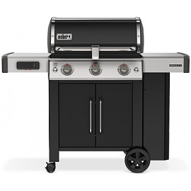 BARBEQUEaGAS 3F GENESIS EX-315