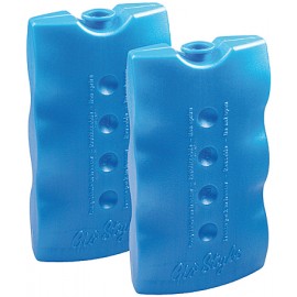 ACCUMULATORE DI FREDDO TECHNO ICE
