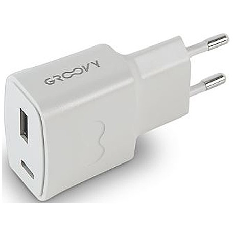 SPINA CON 1 USB E 1 TYPE-C