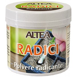 POLVERE RADICANTE