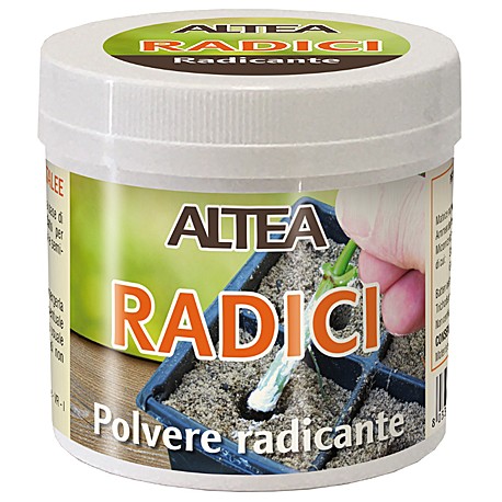 POLVERE RADICANTE