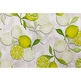 TOV. LIMONI 1,2X20mt 1325/01