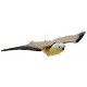 FALCO DISSUASORE