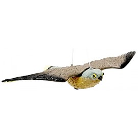 FALCO DISSUASORE