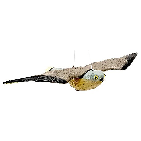 FALCO DISSUASORE