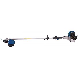 DECESPUGLIATORE 35725